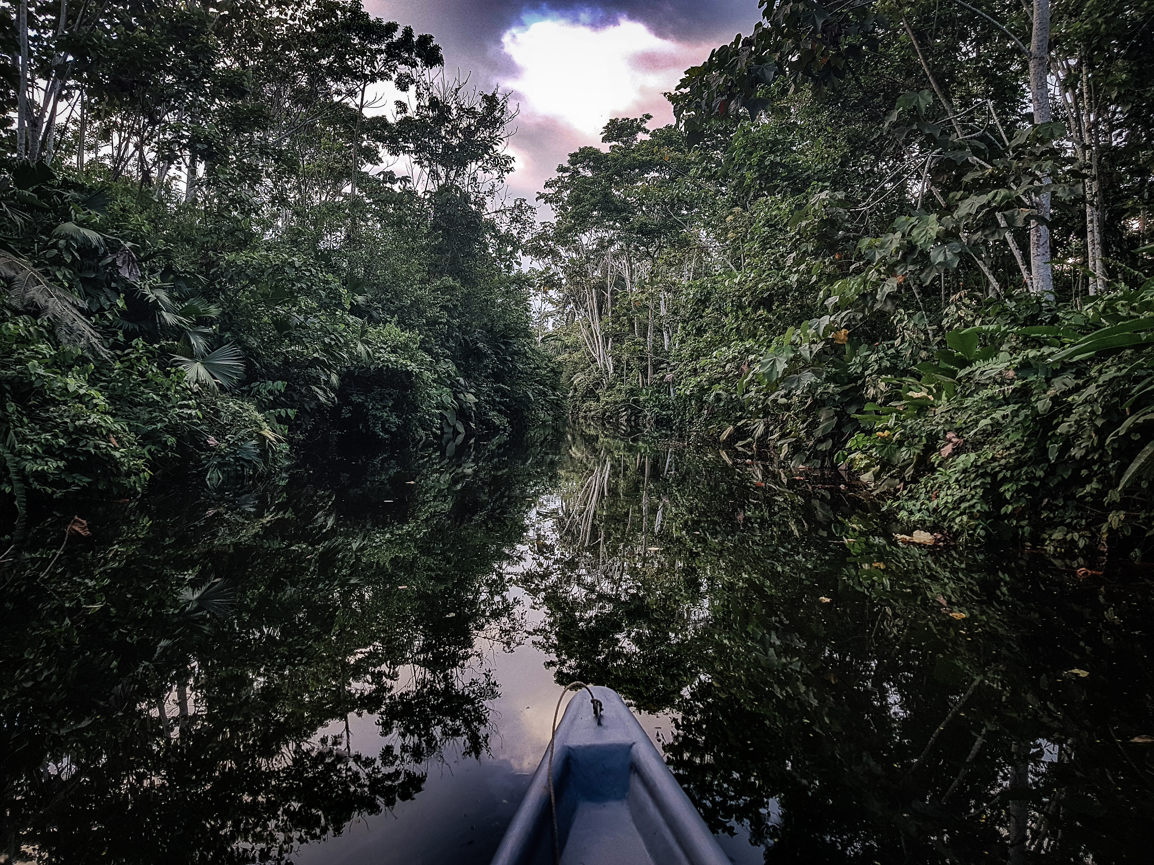 Amazonský prales Ekvádor